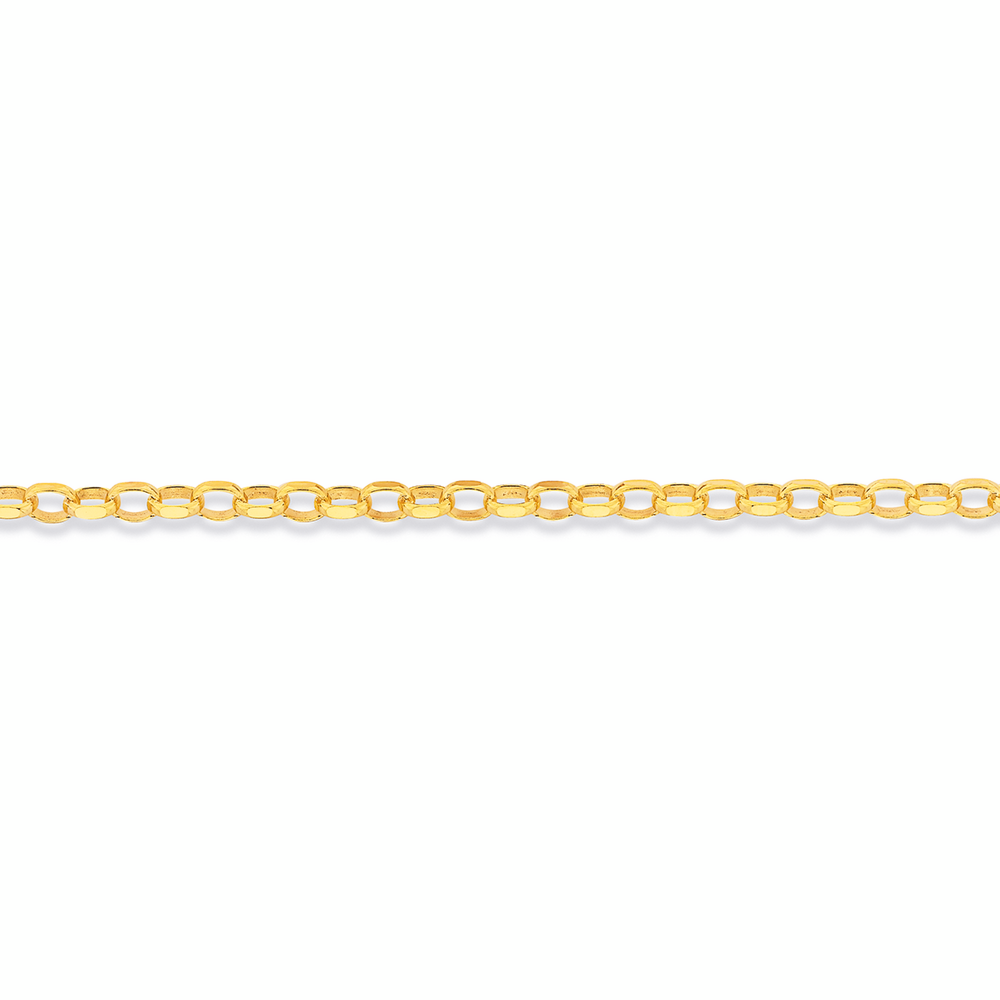 9ct 27cm Solid Oval Belcher Anklet