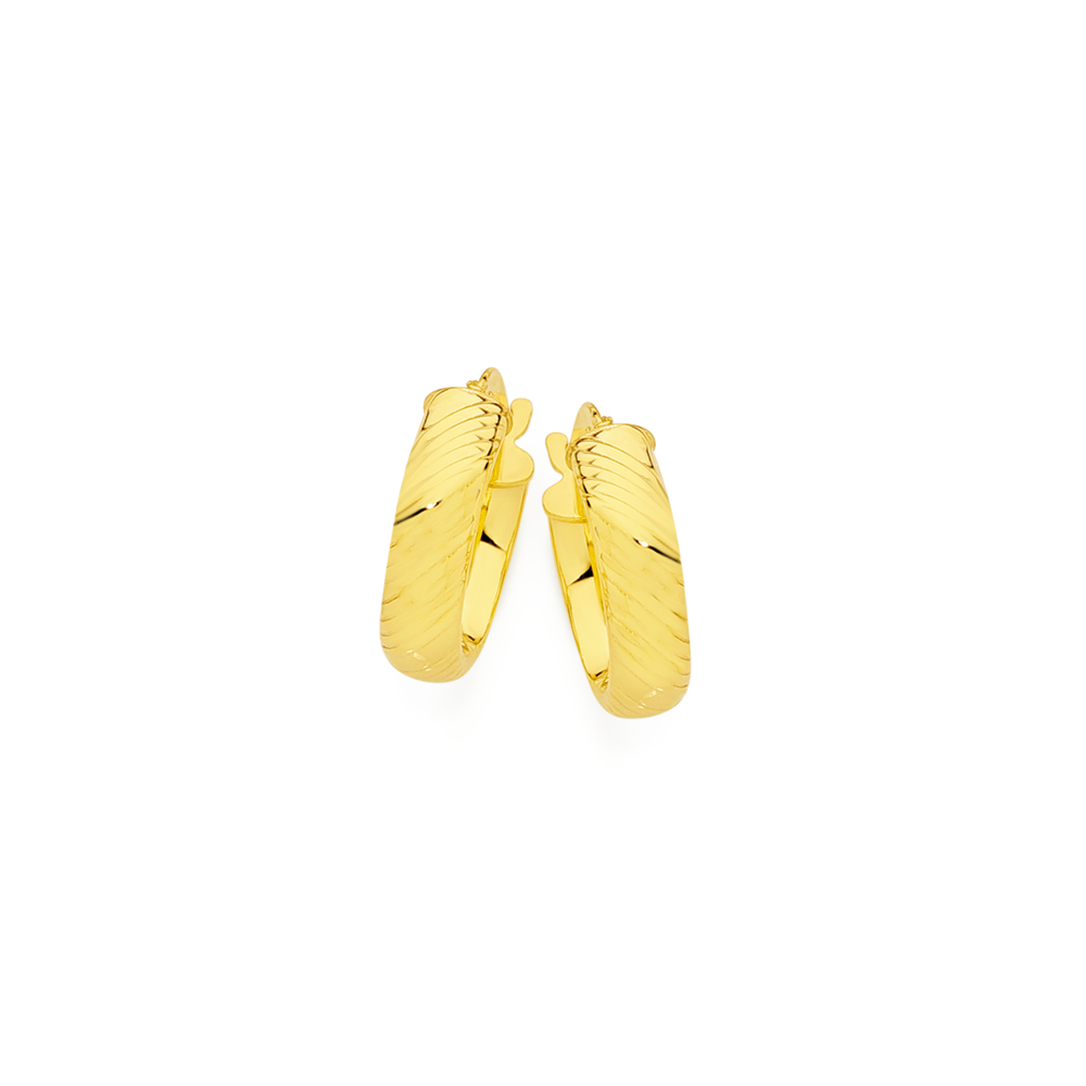 Prouds hoop sales gold earrings
