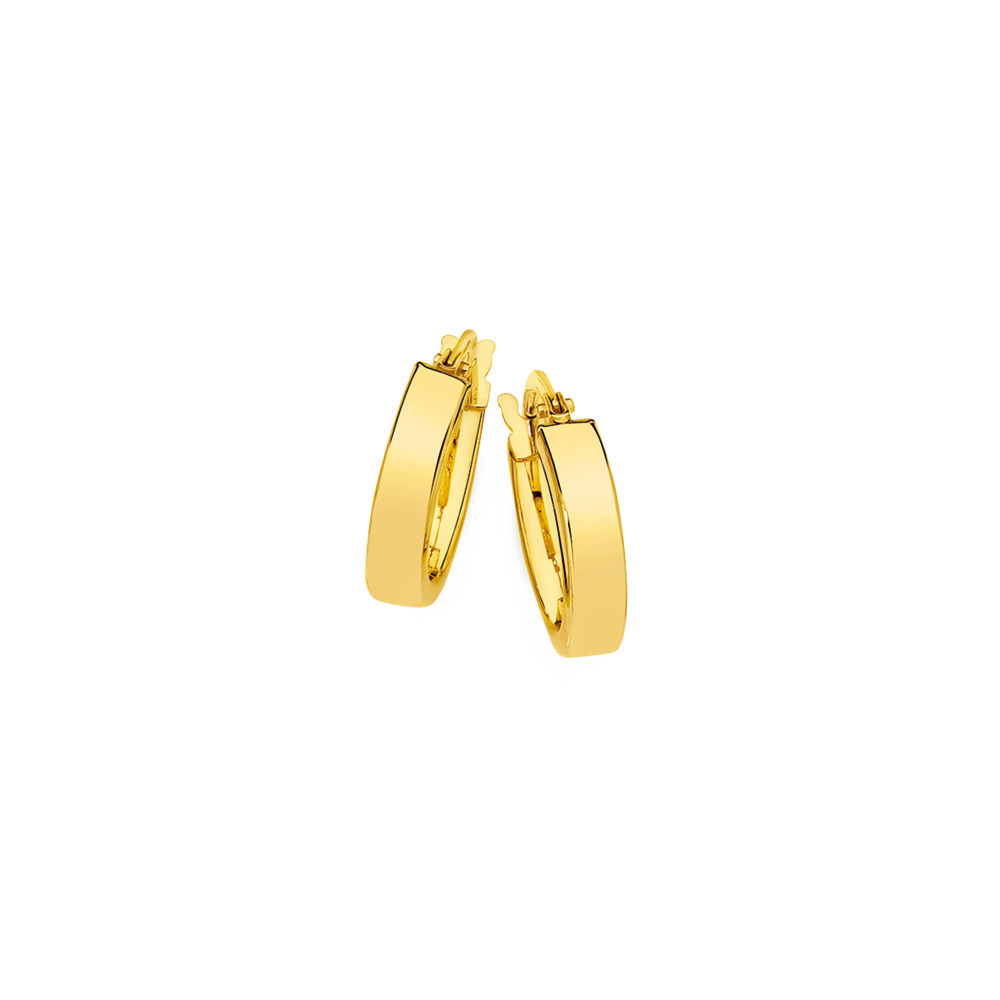 Gold hoop hotsell earrings prouds