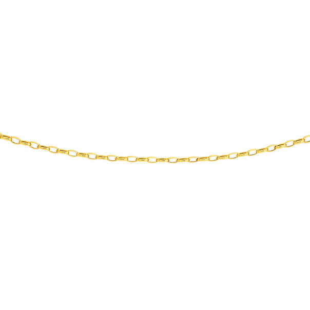 9ct Gold 50cm Hollow Belcher Chain | Necklaces | Prouds The Jewellers prouds belcher necklace