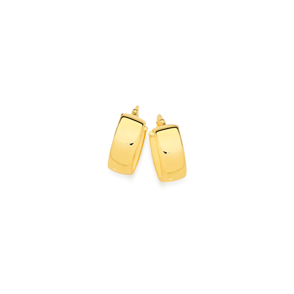 Prouds hoop sales gold earrings