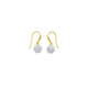 9ct Gold, Crystal Hook Earrings