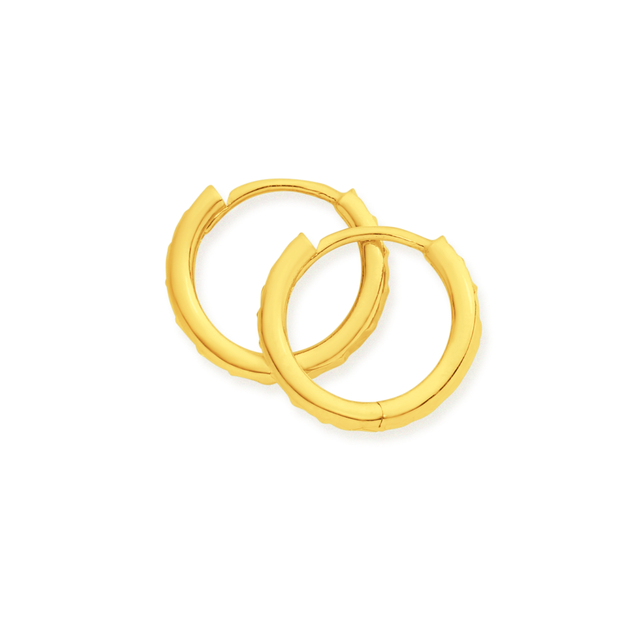 Huggie earrings prouds Clearance