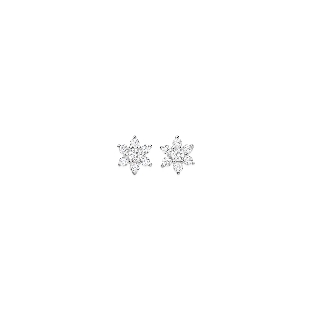 Prouds studs on sale