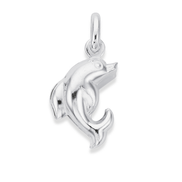 Silver Large Dolphin Charm